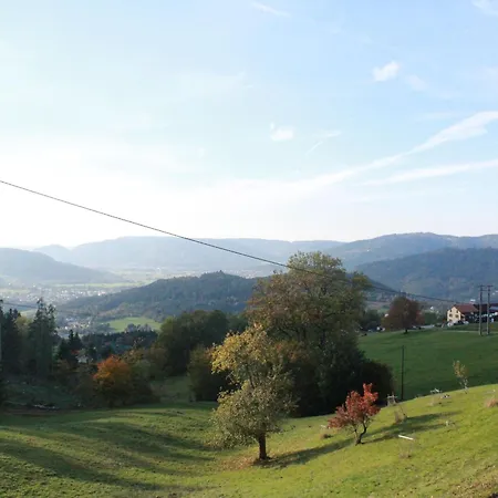 Charmante Maison Renovee Avec 3 Chambres, Garage, Et Animaux Admis A - Fr-1-589-161 Holiday home *