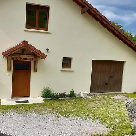 Maison Renovee Confortable, Superbe Vue, Animaux Admis - Fr-1-589-161 Lantställe Gerbamont