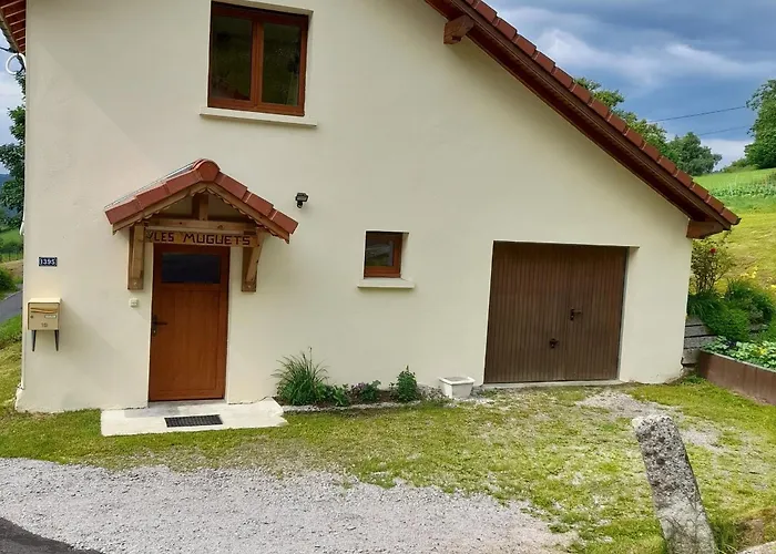 Maison Renovee Confortable, Superbe Vue, Animaux Admis - Fr-1-589-161 Prázdninový dům Gerbamont